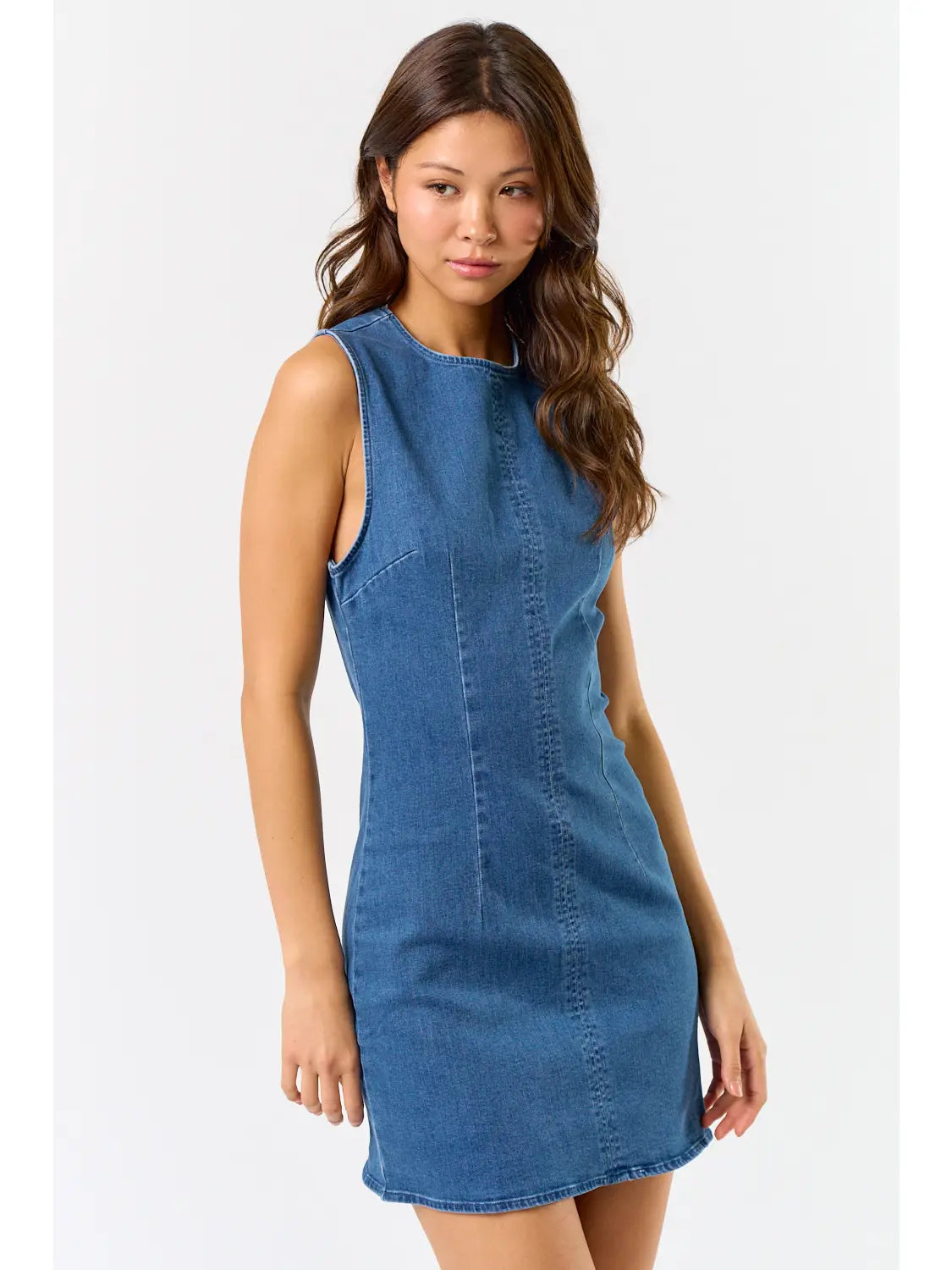 Country Denim Dress