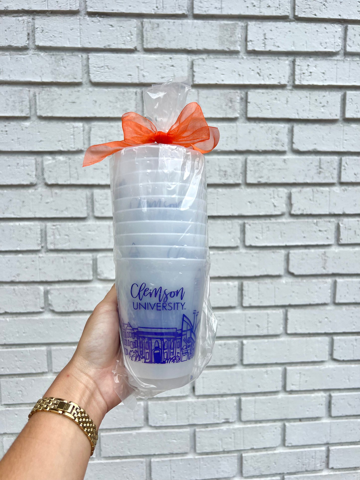 Clemson Skyline Frost Cups