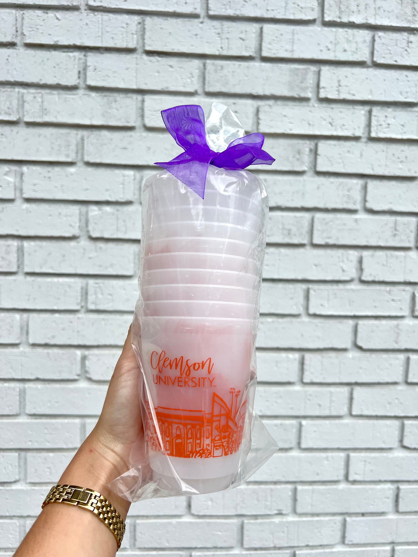 Clemson Skyline Frost Cups