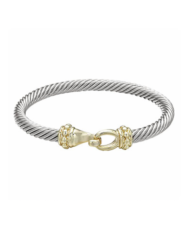 Two Toned Hook Clasp Bracelet